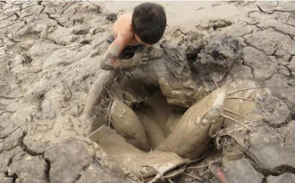 Cá phổi châu Phi nguyên thủy đã sống được 400 triệu năm, dù không ăn uống gì nhưng lại không thể trốn tránh người châu Phi?