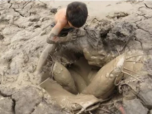Cá phổi châu Phi nguyên thủy đã sống được 400 triệu năm, dù không ăn uống gì nhưng lại không thể trốn tránh người châu Phi?