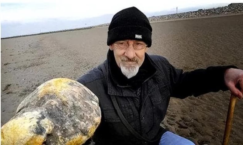 Loại 'phân' động vật đắt nhất thế giới, có giá trị xấp xỉ vàng, nếu nhặt được một cân nó, bạn sẽ ngay lập tức trở thành triệu phú