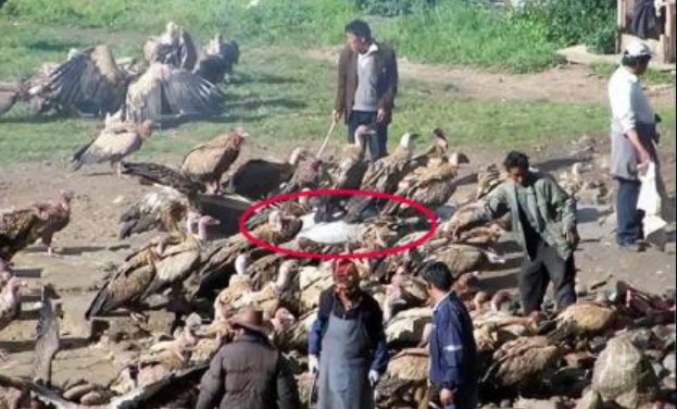 Nghi lễ chôn cất thiên thể 'bí ẩn' của người Tây Tạng: cởi bỏ quần áo người chết và để động vật hoang dã, côn trùng ăn xác