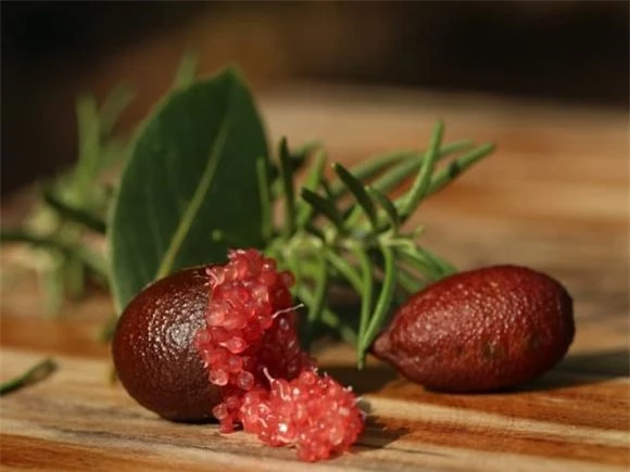 Loại chanh đắt nhất thế giới, chanh ngón tay