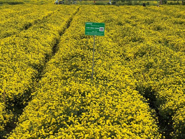 Nhiều lợi ích từ mô hình kinh doanh dựa vào tự nhiên
