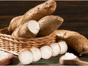 Sắn bùi ngon nhưng cũng cực độc, cách để sắn bay hết độc tố khi chế biến, bảo vệ sức khỏe cả gia đình