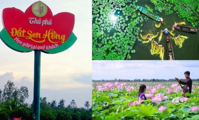 Tỉnh có đường biên giới ngắn nhất Việt Nam, gắn với loại hoa cao quý người Việt xem như ‘quốc hoa’