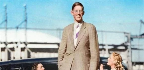 người đàn ông cao nhất thế giới, Robert Wadlow, kỷ lục thế giới