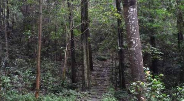 Ngôi mộ nghìn năm được canh giữ bởi một con rắn lớn? Cho đến nay vẫn chưa có ai dám tiếp cận và các nhà khảo cổ đã mạo hiểm khám phá sự thật