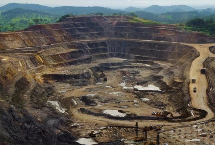 Phát hiện kho báu nằm sâu dưới 1.000m trong rừng gỗ quý, các chuyên gia đau đầu tìm cách đào lên