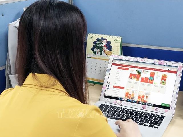 Chuyển đổi số lĩnh vực bán buôn, bán lẻ bắt đầu với thương mại điện tử