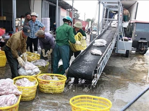 Chống khai thác IUU, phát triển bền vững kinh tế biển - Bài cuối: Tái cơ cấu, bảo vệ nguồn lợi tự nhiên