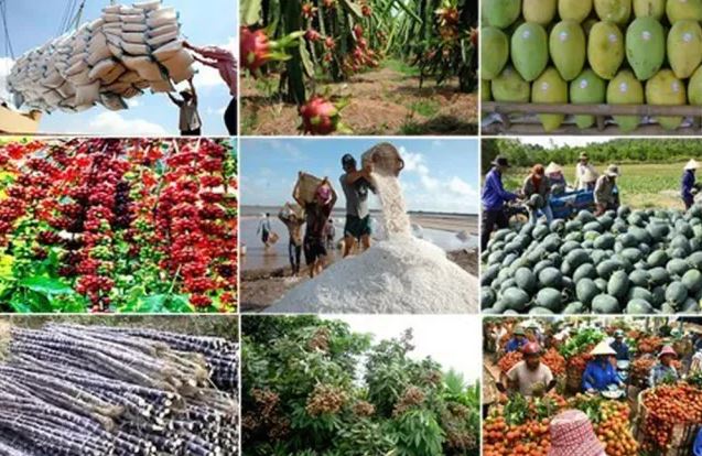 Doanh nghiệp nông sản tuân thủ quy định EUDR