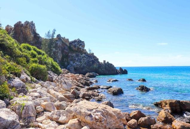 M&#x169;i Vi R&#x1ED3;ng &#x2013; th&#x1EAF;ng c&#x1EA3;nh h&#xEC;nh r&#x1ED3;ng v&#x1B0;&#x1A1;n ra gi&#x1EEF;a bi&#x1EC3;n B&#xEC;nh &#x110;&#x1ECB;nh