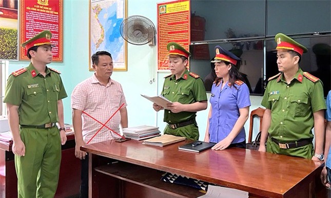 Trốn thuế tiền tỷ, một giám đốc doanh nghiệp bị khởi tố ảnh 1