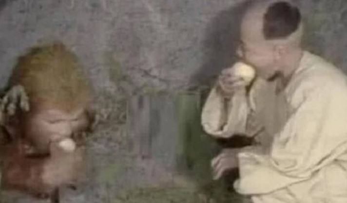 Ngỡ ngàng trước thân phận thật của cậu bé bí ẩn đem đào cho Tôn Ngộ Không khi bị giam ở Ngũ Hành Sơn