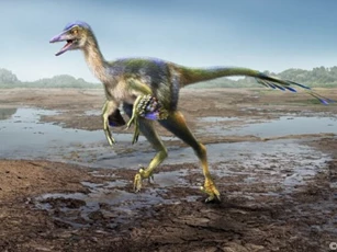 Nhật Bản: Lộ diện loài 112 triệu tuổi nửa quái điểu, nửa bò sát