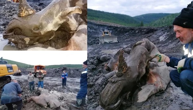Đào vàng ở Siberia, nhóm thợ mỏ phát hiện “xác ướp quái vật"
