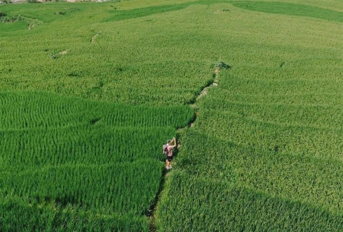 Những tâm hồn cần sự “chữa lành” cũng tìm đến Sa Pa. Anh Minh Anh, trưởng phòng tư vấn đầu tư tại một công ty tài chính, tâm sự: “Mình lên Sa Pa để trốn khỏi cái nắng gay gắt, sự hỗn loạn của giao thông và áp lực công việc. Mình yêu bầu không khí trong lành và vẻ đẹp mộc mạc, yên bình của vùng đất này".