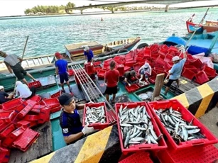 VASEP kiến nghị gỡ vướng trong kiểm soát IUU, cấp giấy xác nhận nguyên liệu