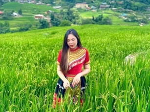 Vẻ đẹp siêu thực của Sa Pa mùa lúa xanh