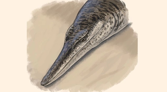 Phát hiện quái vật biển 140 triệu tuổi ở Đức