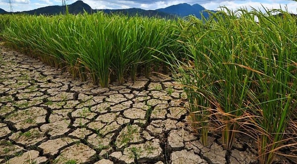 Chật vật thu thập dữ liệu ứng phó biến đổi khí hậu