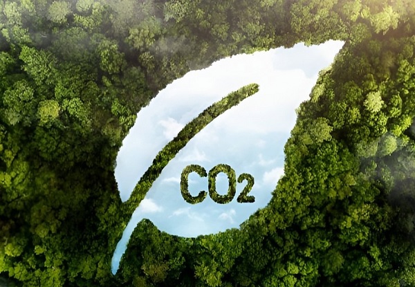 Thành lập thị trường carbon là vấn đề khó, phức tạp