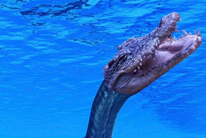 Bí mật về quái vật giống quái vật hồ Loch Ness