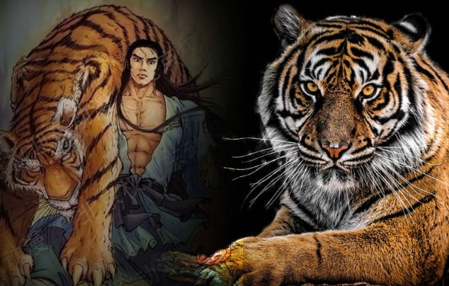 'Thủy Hử' có Võ Tòng đánh hổ: Thực tế thì con người có thể tay không đánh hổ hay không?