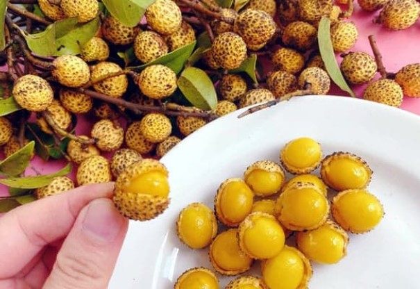 Nó là loại quả mà xưa người dân miền núi không ai thèm ngó, nay gây sốt được dân thành phố săn lùng với giá 45.000 đồng/kg