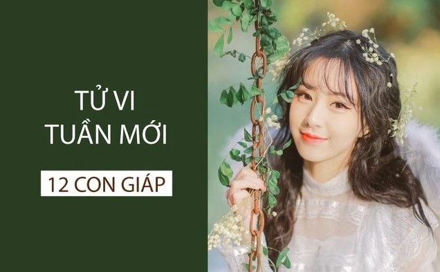Tử vi tuần mới của 12 con giáp từ 26/8 - 1/9/2024: Tý cần chú tâm, Tuất giảm sút