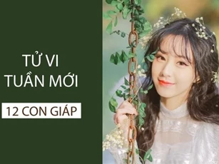 Tử vi tuần mới của 12 con giáp từ 26/8 - 1/9/2024: Tý cần chú tâm, Tuất giảm sút