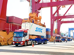 THILOGI đẩy mạnh dịch vụ xuất khẩu sầu riêng chính ngạch qua cảng Chu Lai