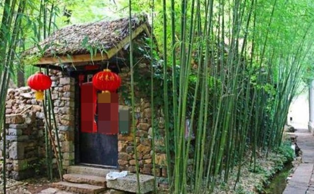 Vì sao có câu: “Trước nhà không trồng tre thì sau nhà trồng ít cây”? Điều gì sẽ xảy ra?