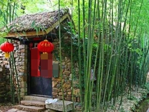 Vì sao có câu: “Trước nhà không trồng tre thì sau nhà trồng ít cây”? Điều gì sẽ xảy ra?