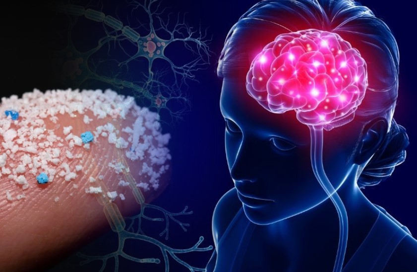 Hạt vi nhựa chiếm tới 0,5% trong não người