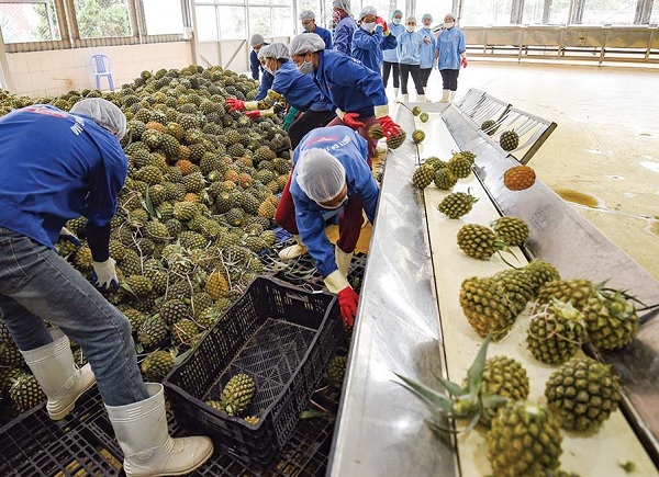 Xuất khẩu nông sản đối diện 5 thách thức lớn