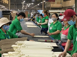 Nhiều doanh nghiệp mơ hồ về EUDR, CBAM