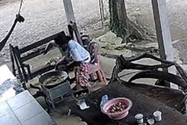 CLIP: Đang nấu ăn, người phụ nữ bị rắn độc khổng lồ bò vào tấn công