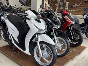 Giá xe Honda SH cuối tháng 8/2024 rẻ hiếm thấy, khách Việt ồ ạt đặt mua bất chấp tháng 'cô hồn'