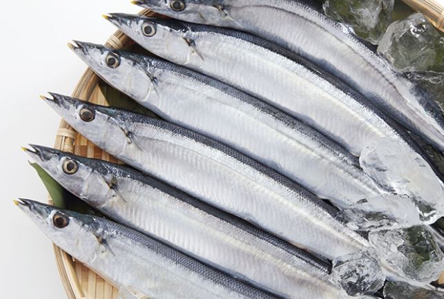 Ph&#xE1;t hi&#x1EC7;n lo&#x1EA1;i c&#xE1; l&#xE0; &#x2018;&#x1ED5; ch&#x1EE9;a&#x2019; ch&#x1EA5;t g&#xE2;y ung th&#x1B0; cao g&#x1EA5;p 40 l&#x1EA7;n m&#x1EE9;c an to&#xE0;n