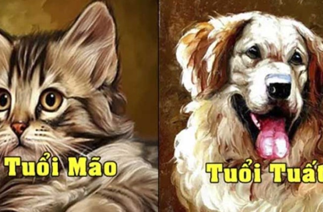 Top 3 con giáp giàu có nhất năm Ất Tỵ 2025: Đặc biệt vị trí số 2