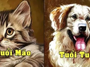 Top 3 con giáp giàu có nhất năm Ất Tỵ 2025: Đặc biệt vị trí số 2