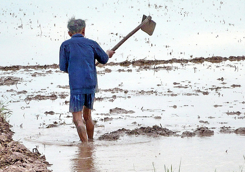 Bố chồng đột ngột xuất hiện trước cửa nhà, điều ông nói sau đó khiến vợ chồng tôi đau xót khôn xiết