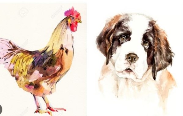 Ất tỵ 2025 đại cát - đại lợi: 3 tuổi tiền bạc thăng hoa, giàu có hết phần thiên hạ