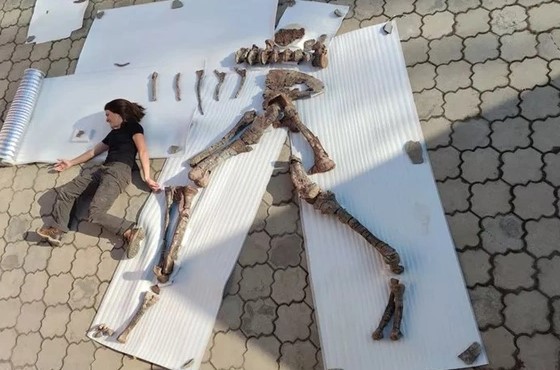 Lộ diện loài quái vật ăn thịt mới dài đến 8 m ở Trung Á