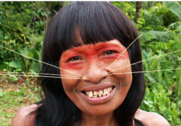 Bộ lạc sử dụng chất kích thích trước khi đi săn, tỉnh táo đến tận vài ngày; tất cả người trong làng đều có chung huyết thống