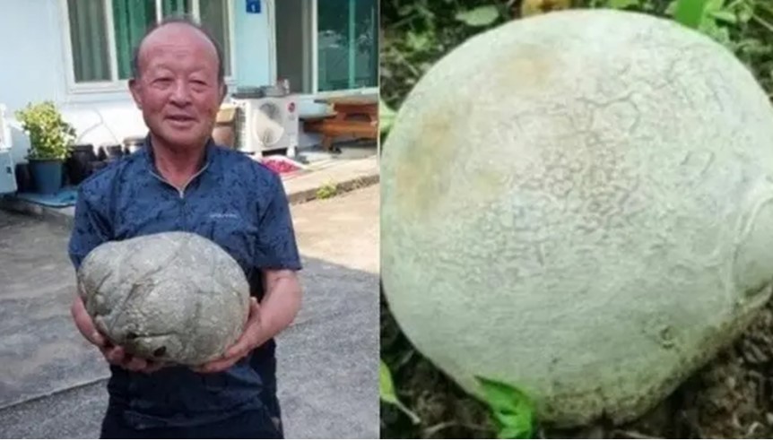 Người đàn ông ngã ngửa khi nhặt được vật thể lạ, hóa ra lại là báu vật cực hiếm trên thế giới