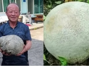 Người đàn ông ngã ngửa khi nhặt được vật thể lạ, hóa ra lại là báu vật cực hiếm trên thế giới