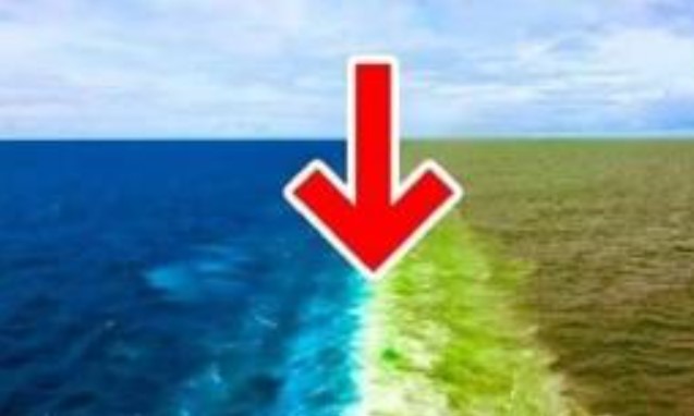 Tại sao bốn đại dương nối liền với nhau nhưng có độ cao mực nước biển khác nhau? Tôi đã học được rất nhiều sau khi đọc nó