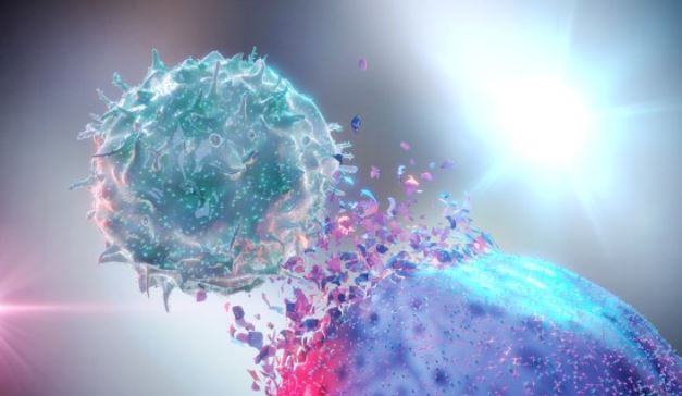 Tìm ra loại thuốc giúp cơ thể tự ‘ăn sạch’ tế bào ung thư