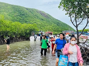 Việt Nam hướng đến phát triển du lịch xanh, bền vững để bảo vệ môi trường